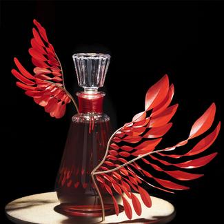 Maison Camus: Ibis Serie 3